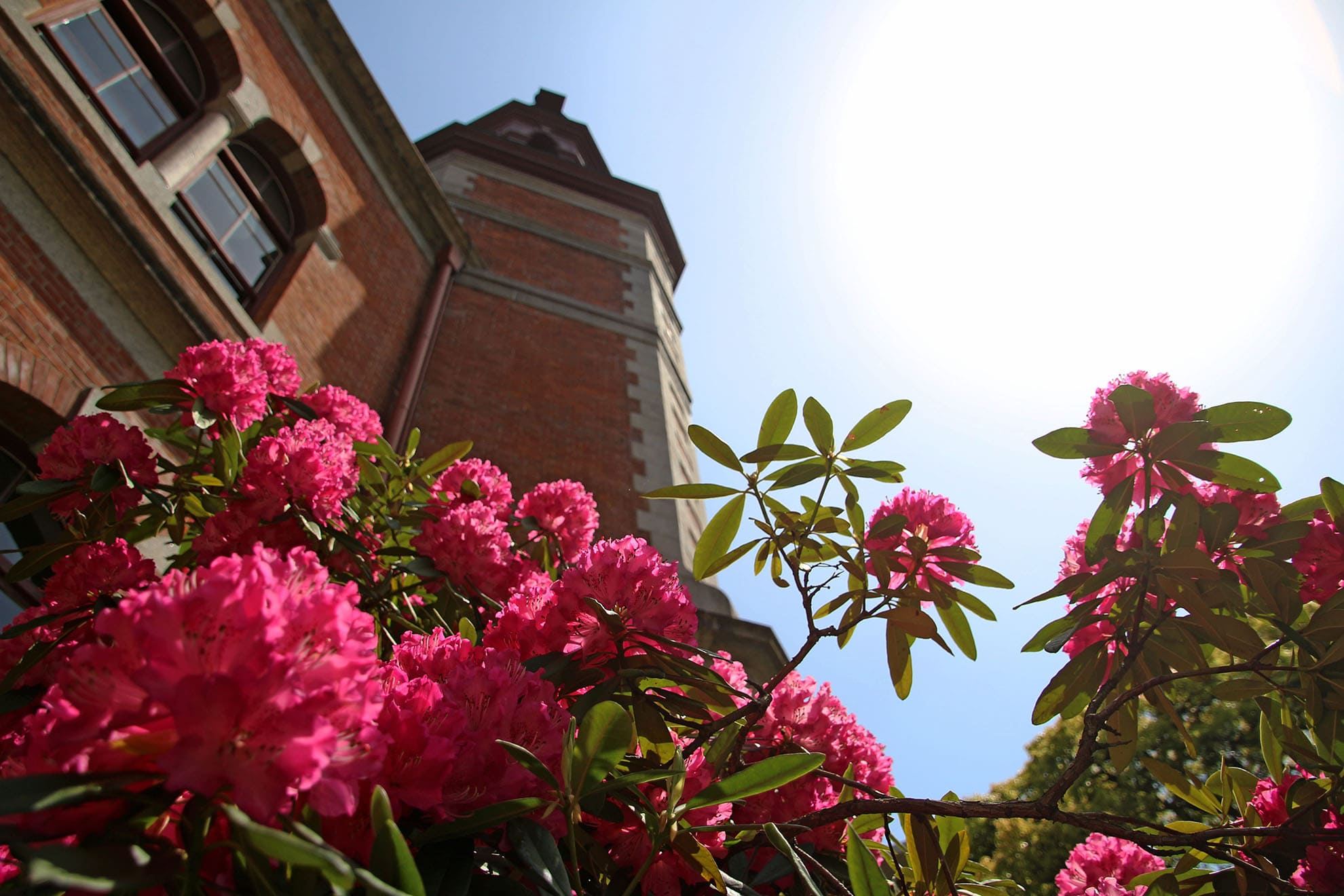 在学生インタビュー